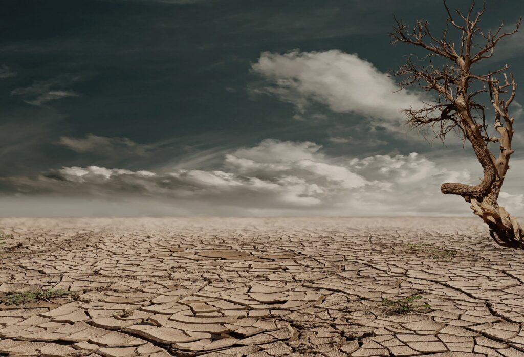 COP28: siete acciones que podrían salvar mil millones de vidas de aquí a 2100