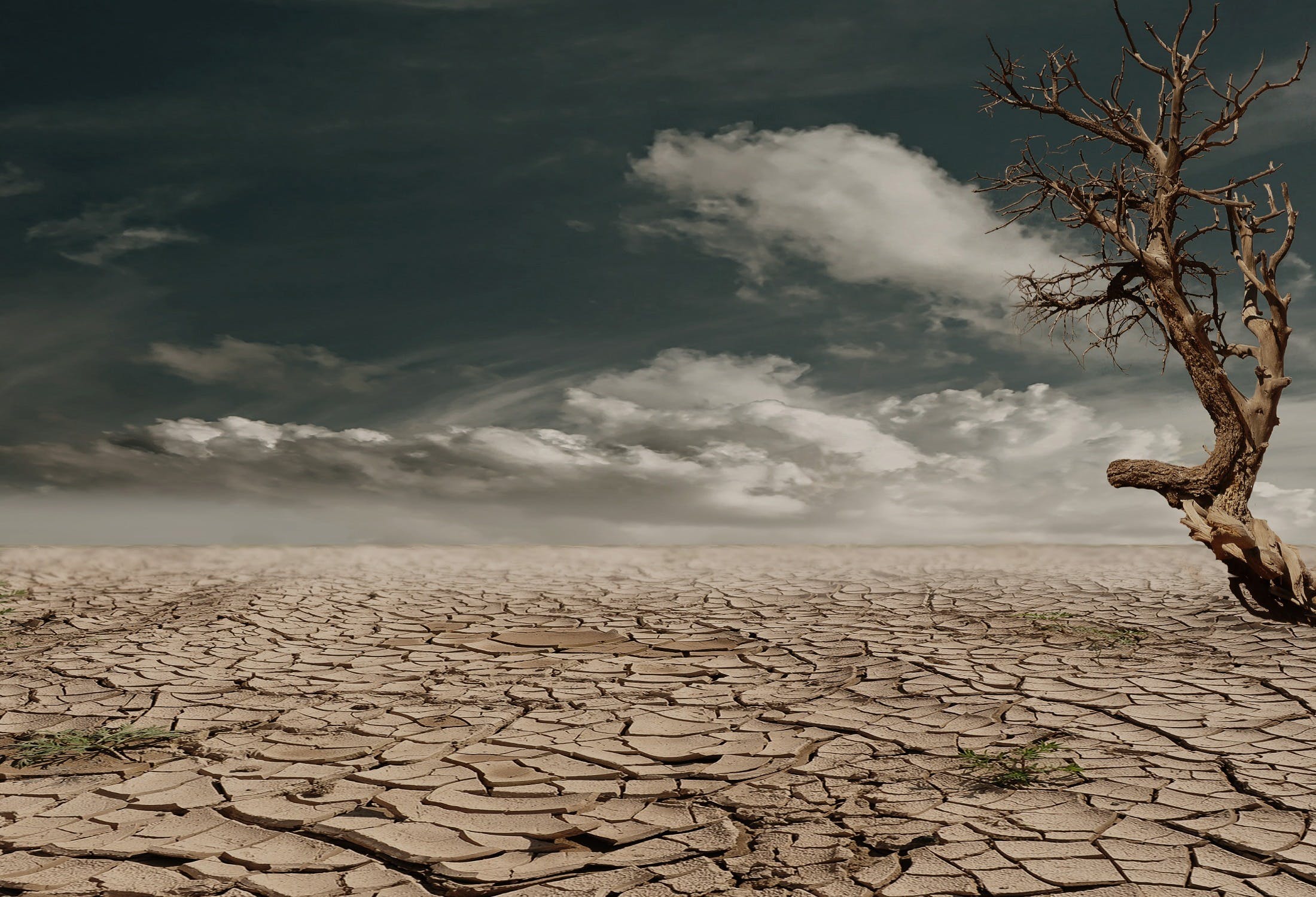 COP28: siete acciones que podrían salvar mil millones de vidas de aquí a 2100