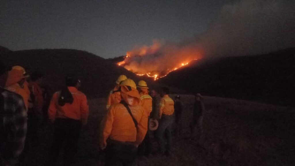 Incendio en la Sierra Sur de Oaxaca suma 3 días activo: 500 hectáreas consumidas
