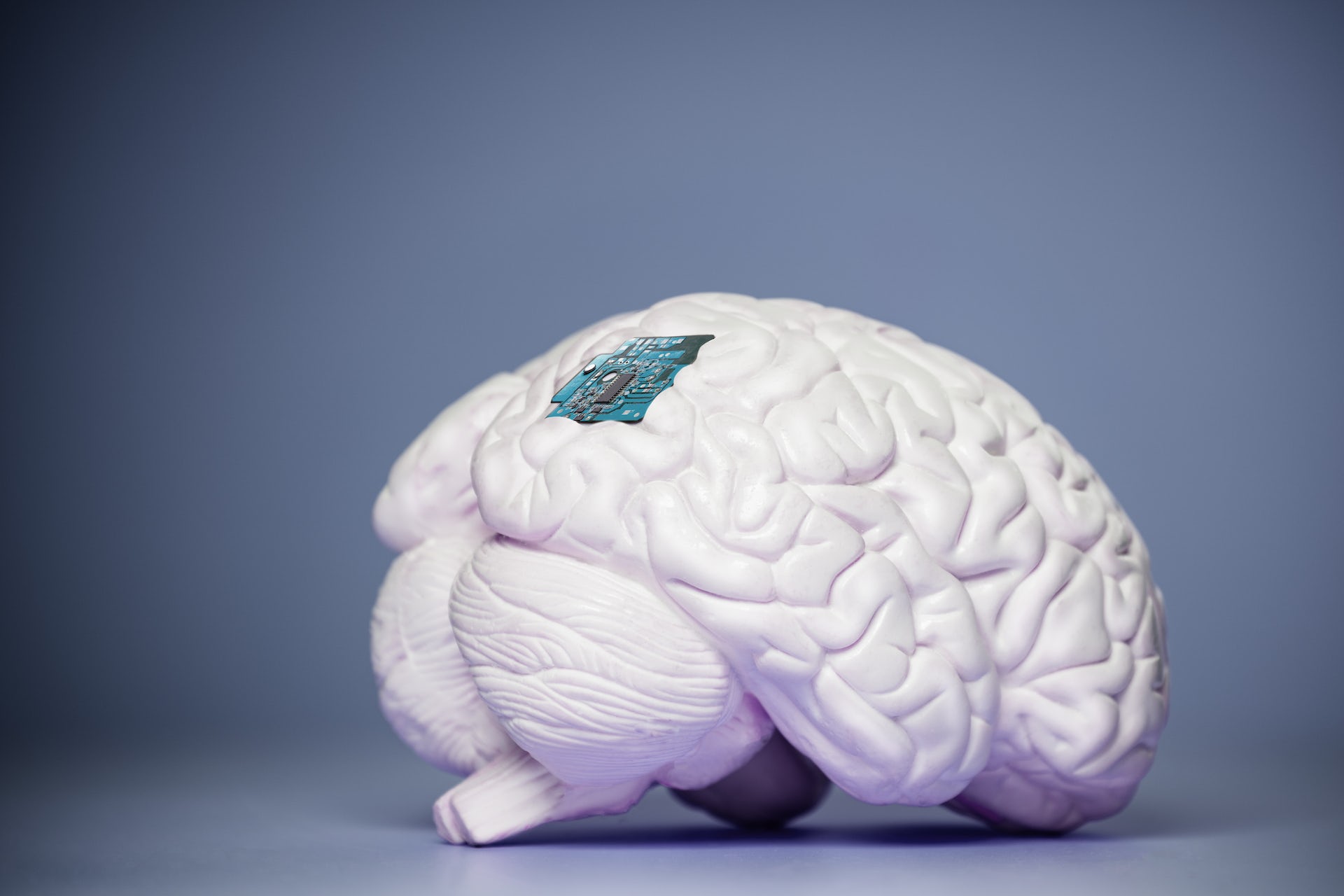 Neuralink: lo que hay detrás y el futuro de implantes cerebrales como el creado por Elon Musk