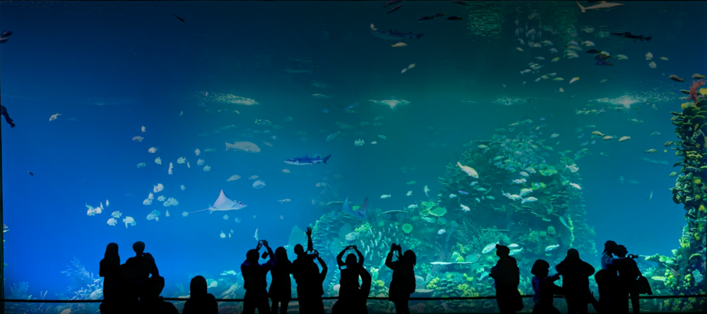 El Gran Acuario de Mazatlán de Neto Coppel recibió 600 mdp del gobierno de su primo Quirino Ordaz