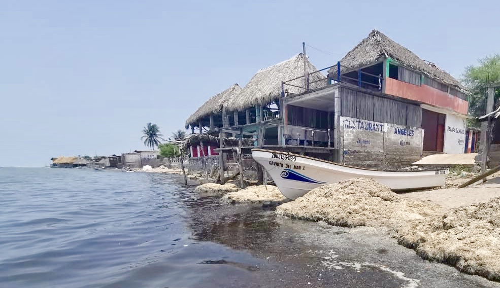 Mar arroja cuerpos de 8 personas chinas migrantes  en Oaxaca, eran migrantes