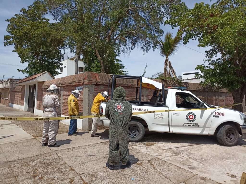Ataques de abejas dejan un muerto y 27 lesionados en Sinaloa