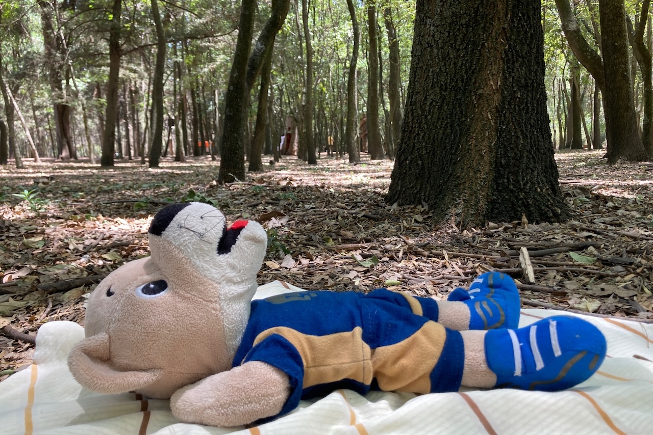 ¿Cuándo inicia clases la UNAM en el ciclo escolar 2024-2025? ¿Cuándo inicia clases la UNAM en el ciclo escolar 2024-2025?