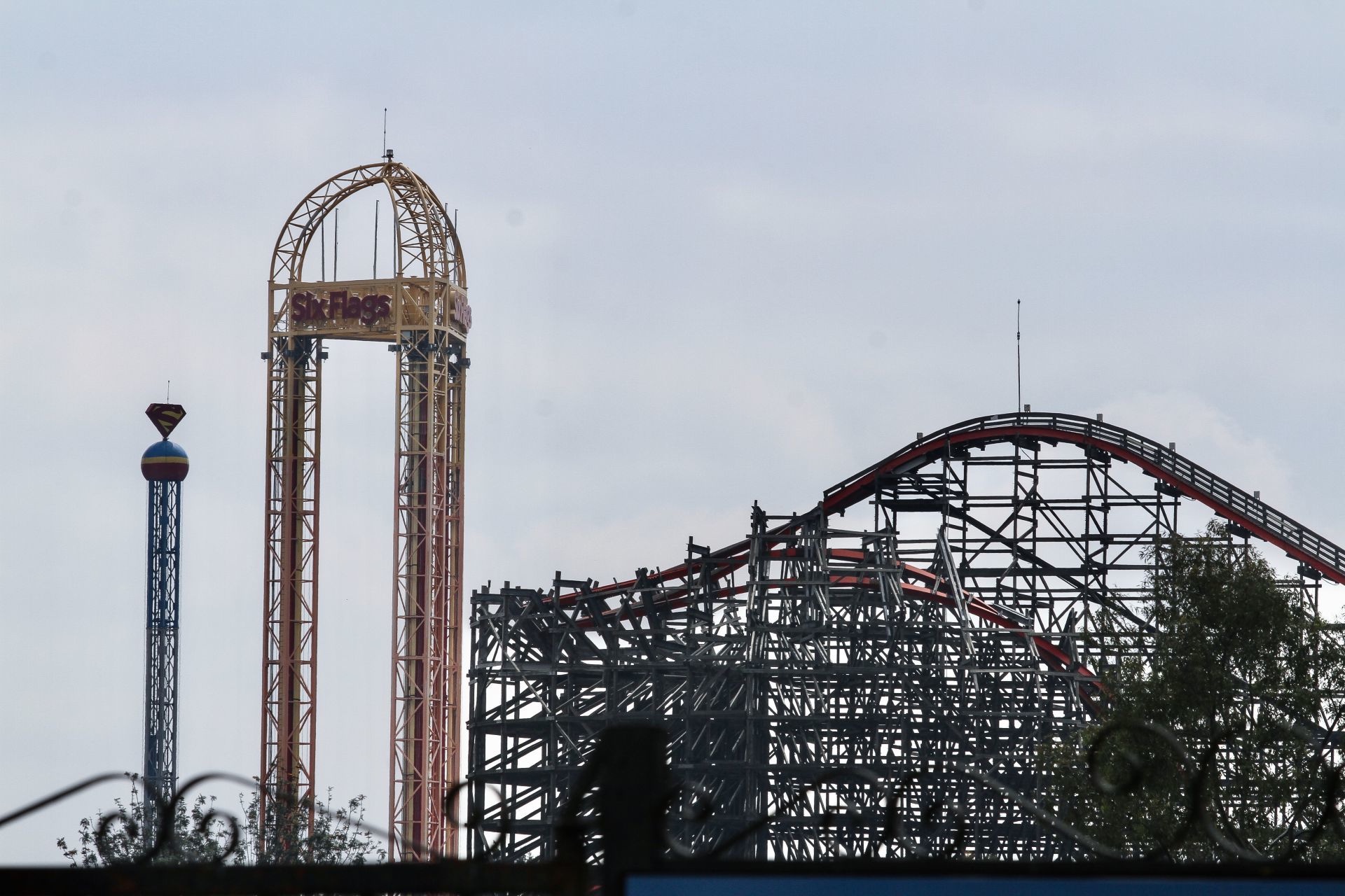 Six Flags planea talar 151 árboles para construir una montaña rusa Six Flags planea talar 151 árboles para construir una montaña rusa