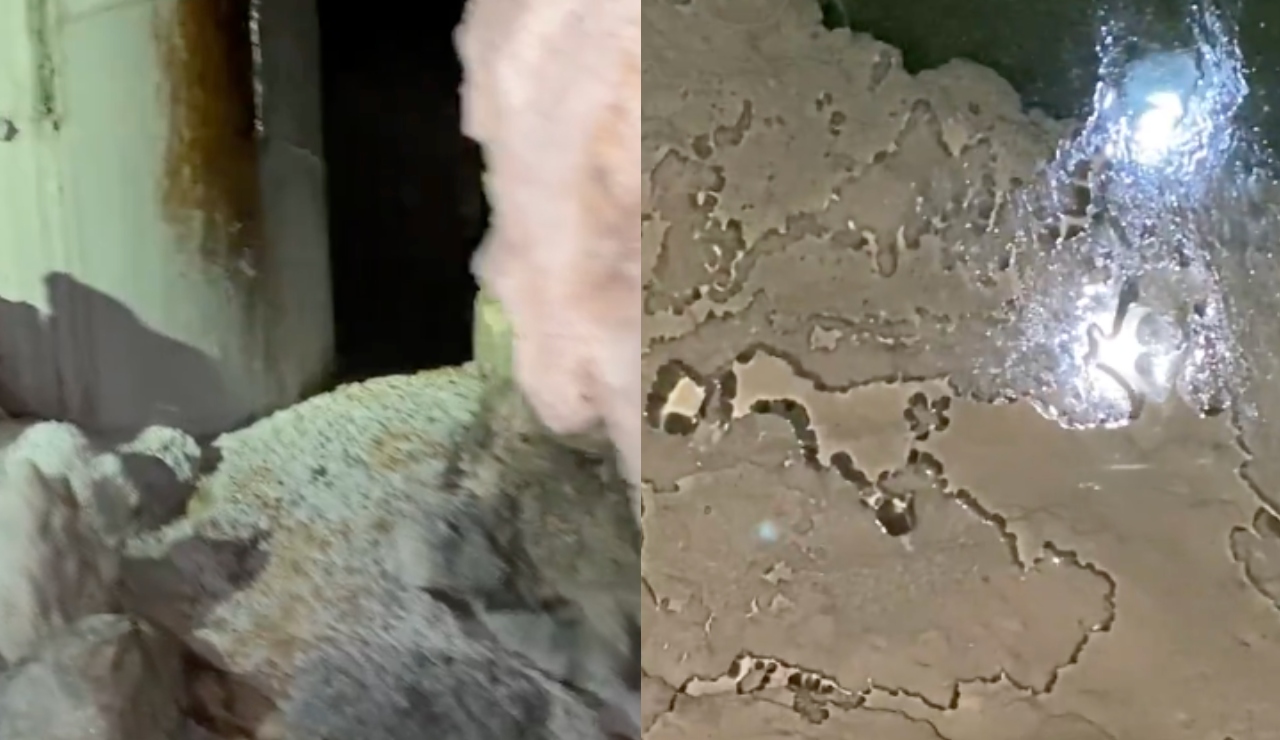 Cavernas y cenotes son contaminadas con diésel y concreto por obras del tramo 5 del Tren Maya