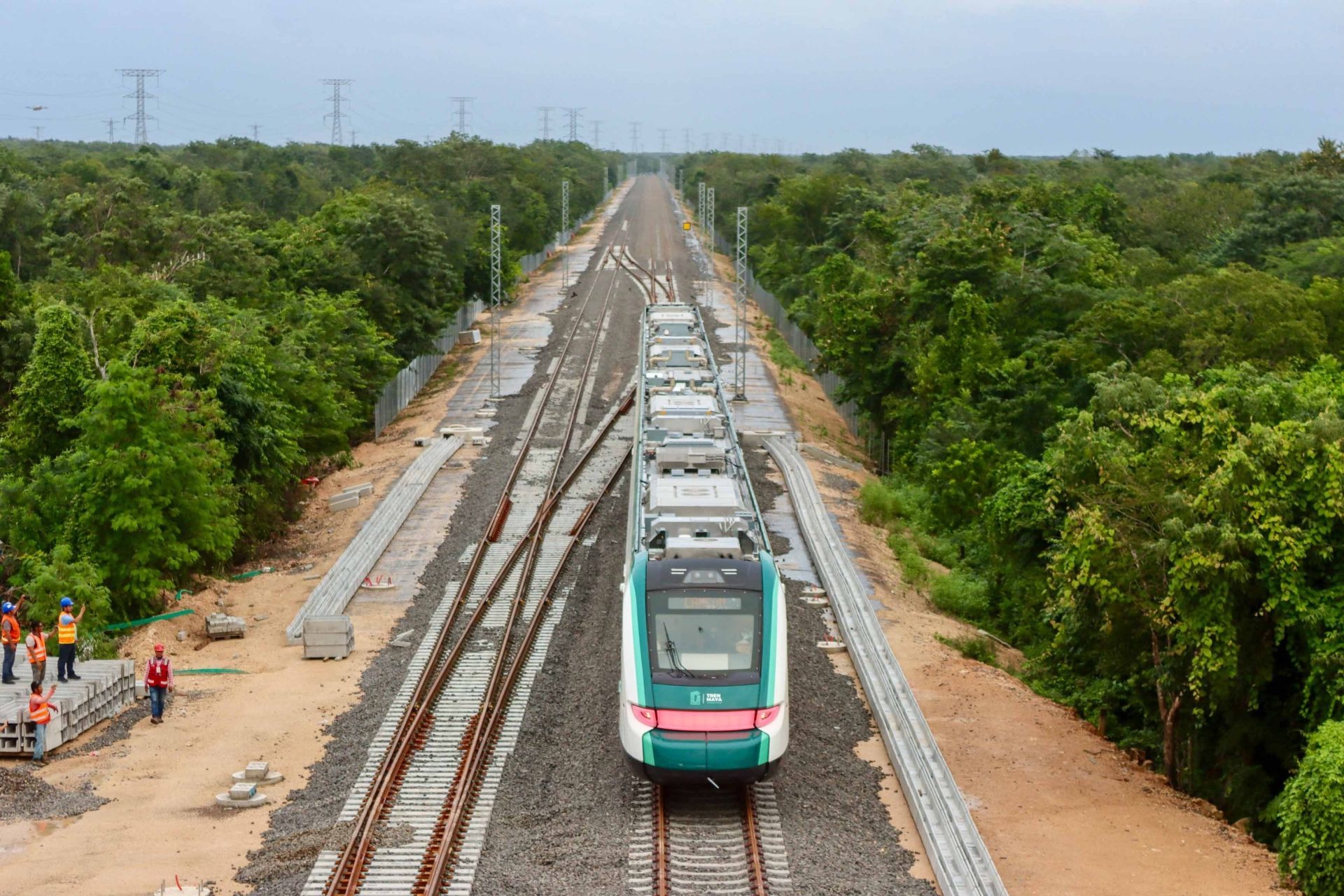 Semarnat autoriza el derribo de 261 hectáreas de selva para estación de carga del Tren Maya