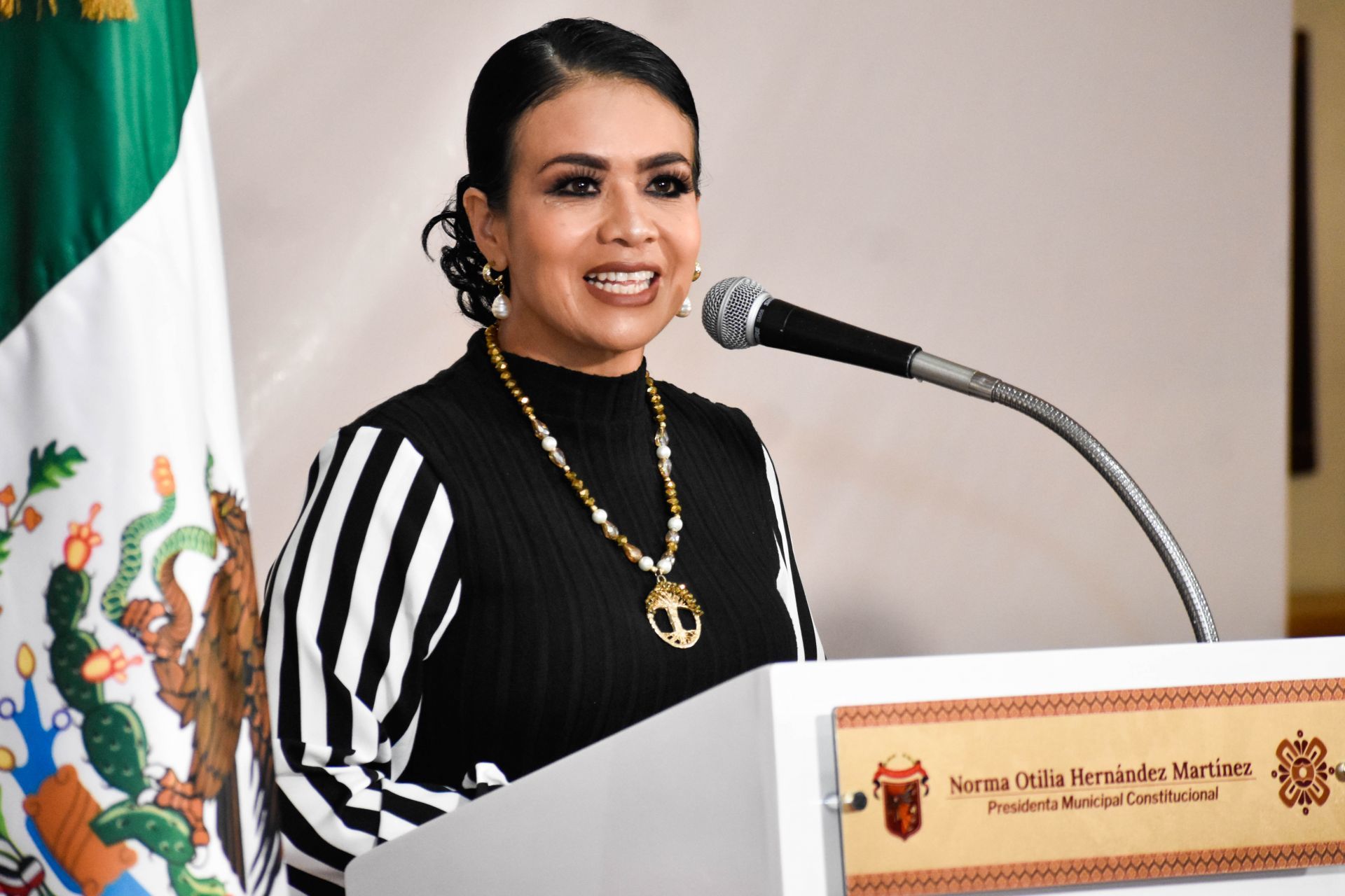 Morena expulsó del partido a la alcaldesa de Chilpancingo por reunirse con el líder de ‘Los Ardillos’