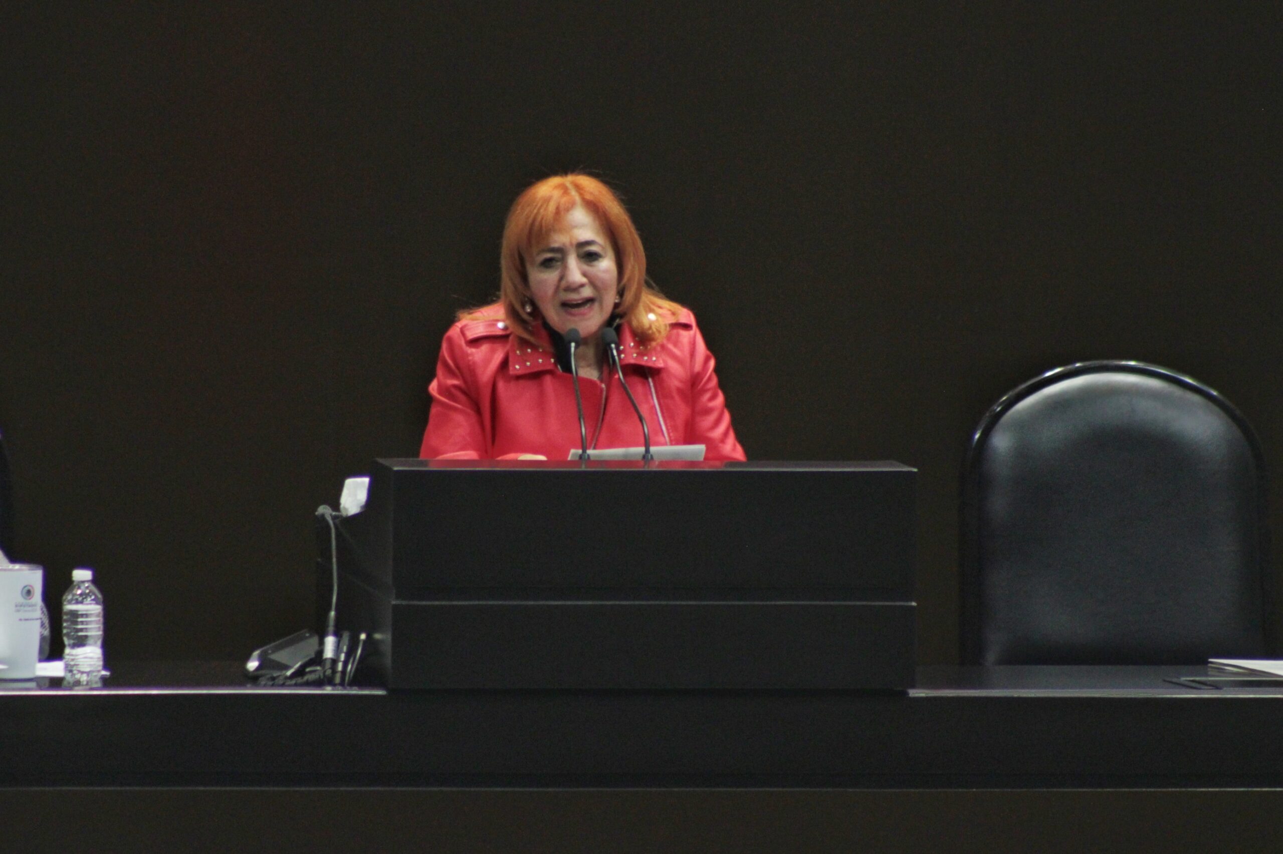 Pese a los amplios cuestionamientos a su gestión, Rosario Piedra busca reelegirse en la CNDH