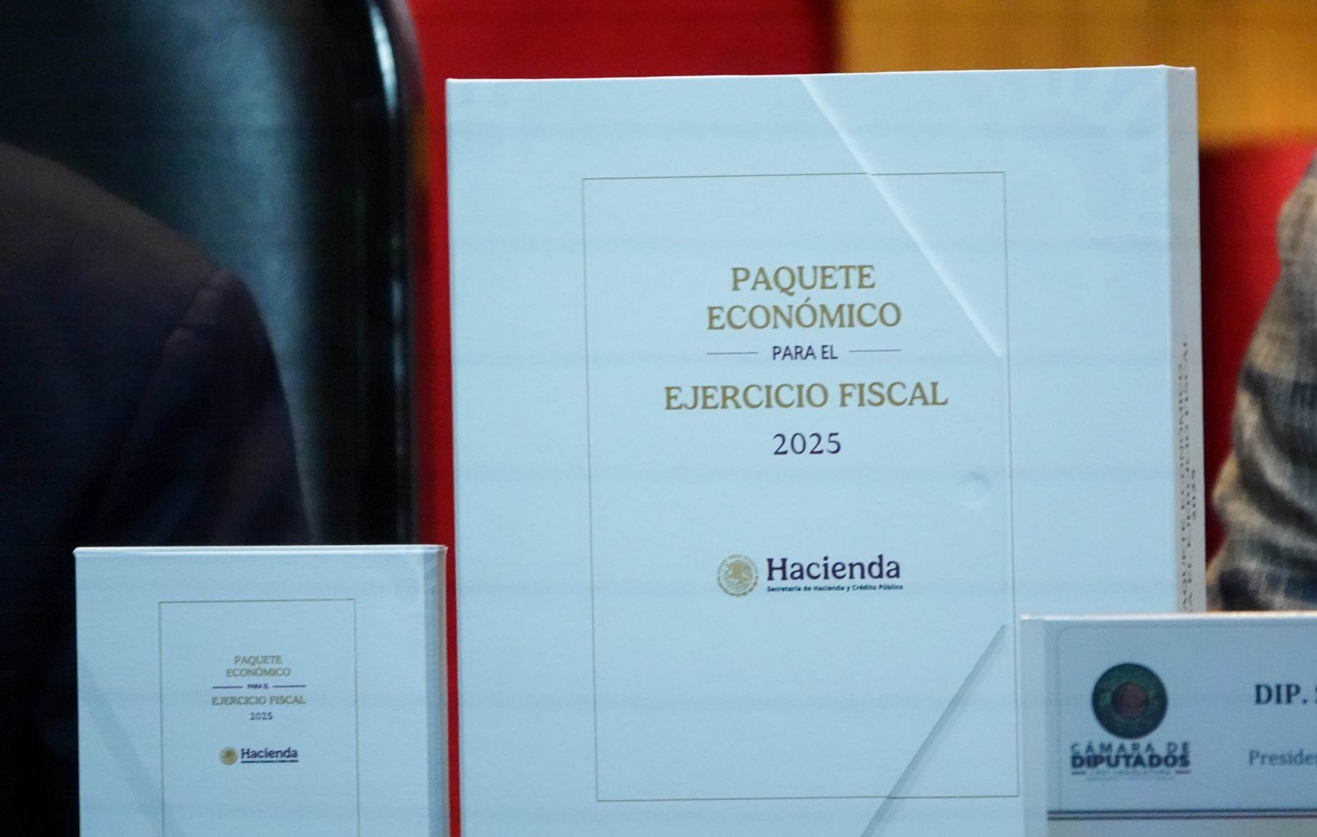 Los recortes en el presupuesto 2025 “profundizan las desigualdades y no garantiza derechos”