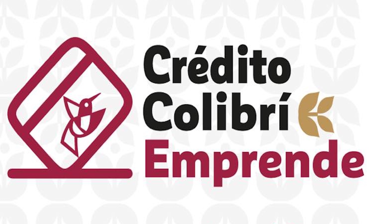Crédito Colibrí Emprende 2024 Edomex: convocatoria, registro, documentos y resultados 