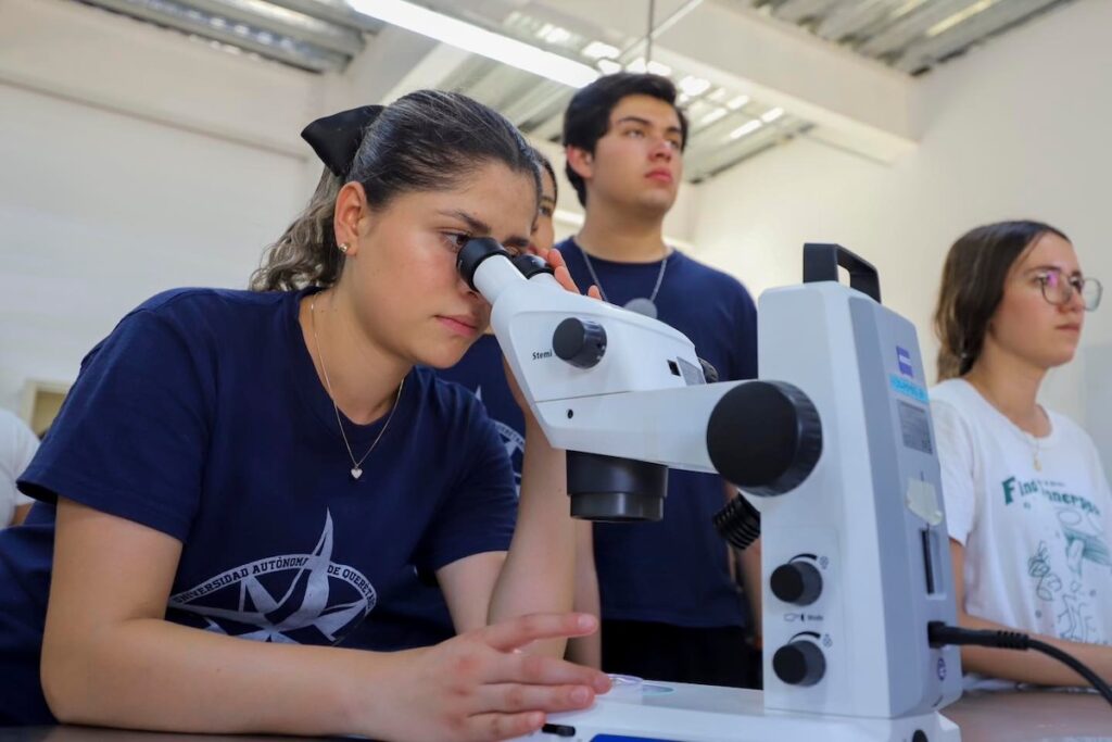 Resultados UAQ 2025: así consúltalos y puntajes mínimos 