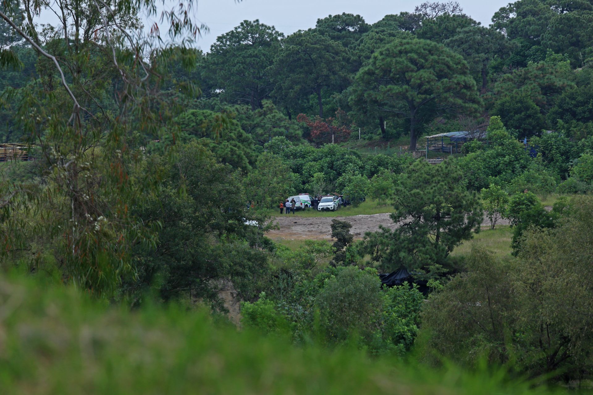 Encuentran 24 cuerpos en fosa clandestina de Zapopan; identifican a 6