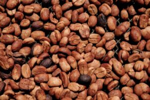 café nestlé y starbucks