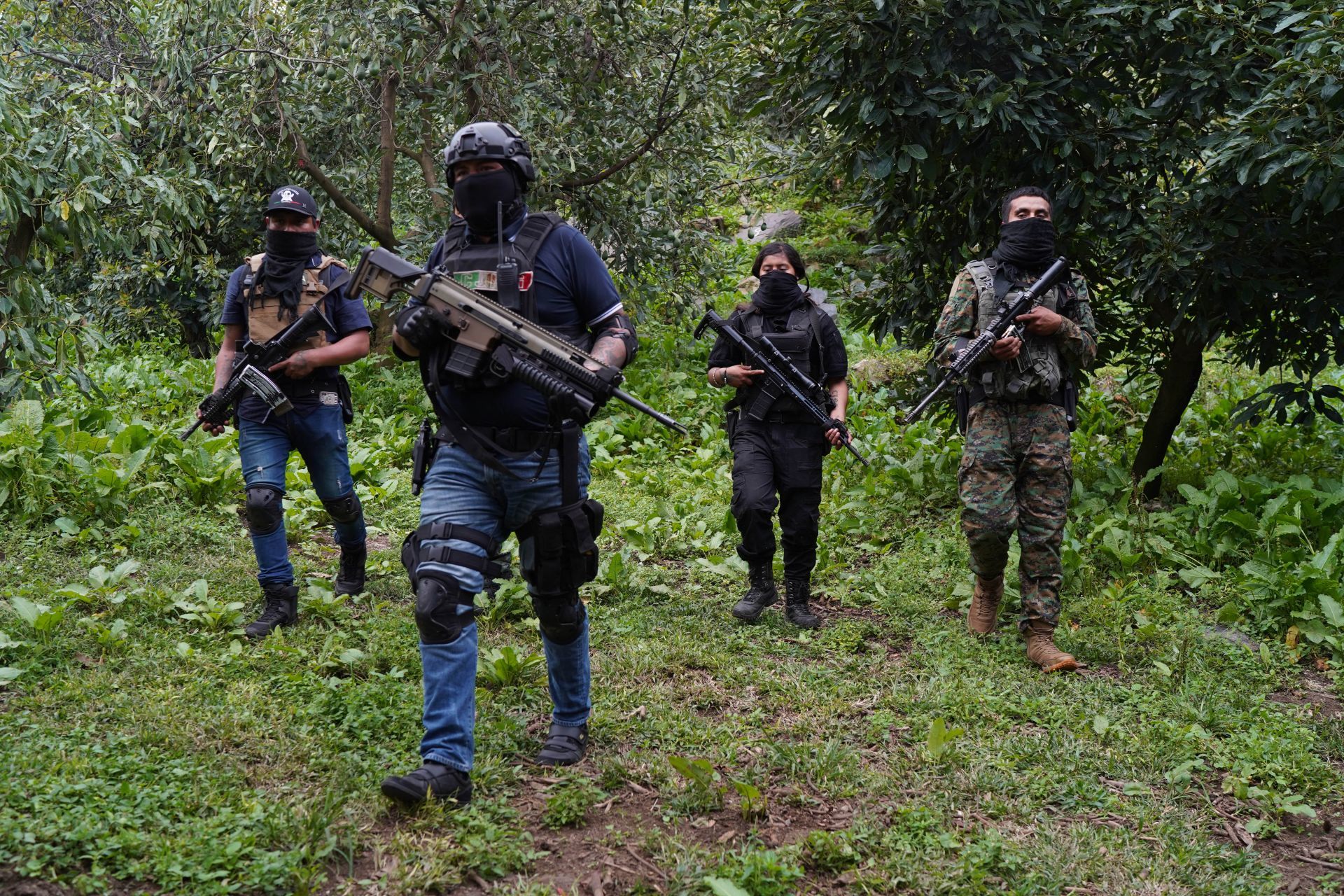 ACNUR emite declaratoria de emergencia: violencia desplaza a cientos en Michoacán