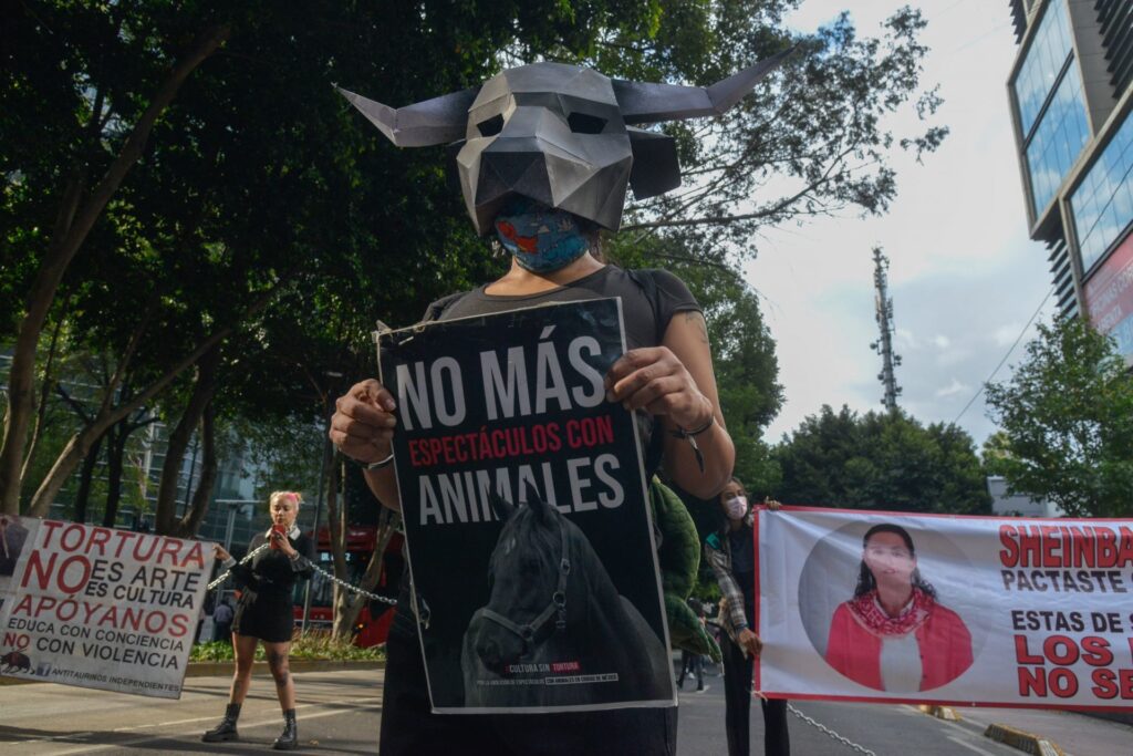 CDMX busca eliminar tortura y maltrato animal en las corridas de toros
