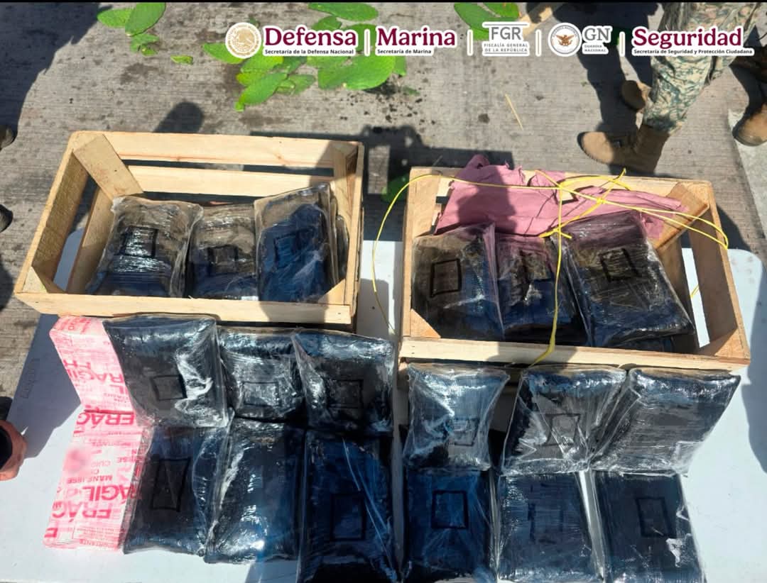 Aseguran 32 kilos de fentanilo oculto en cajas de nopales