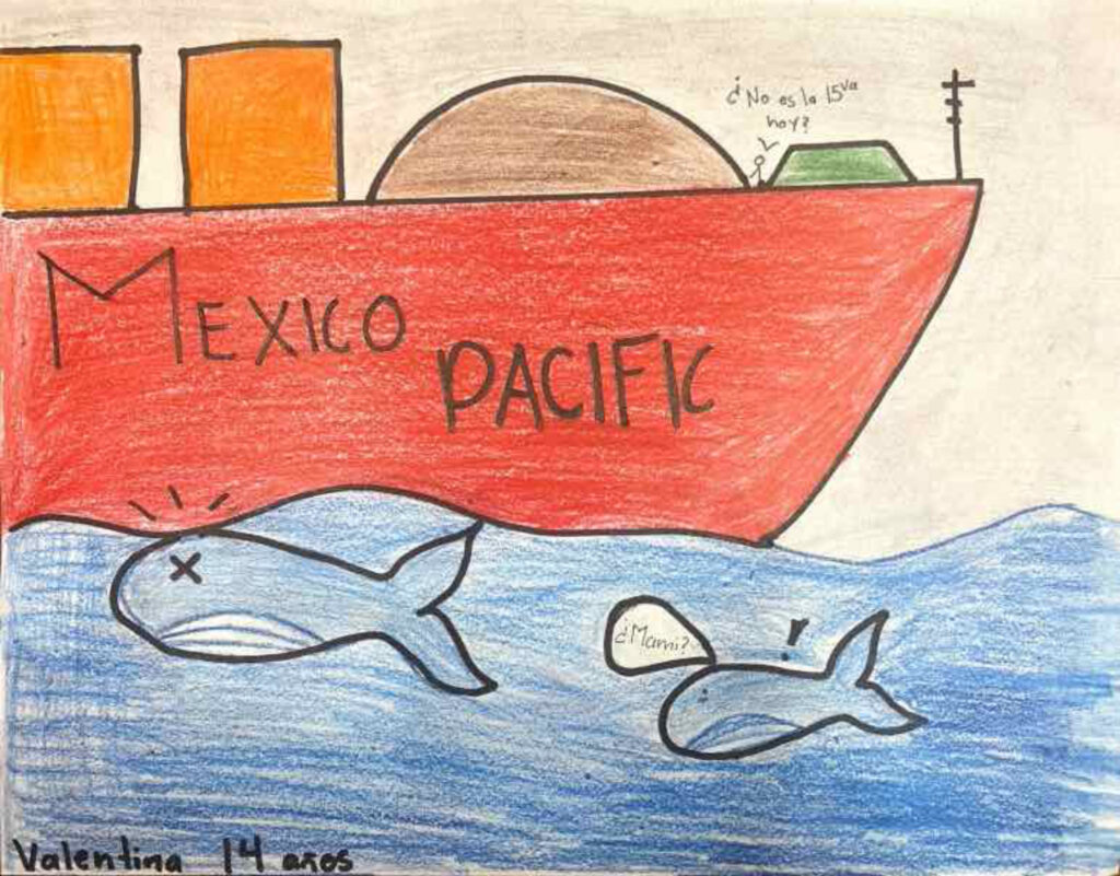 “¿Ballenas o gas?”: Niñas y niños exigen a la Sener la cancelación de proyectos de gas en el Golfo de California