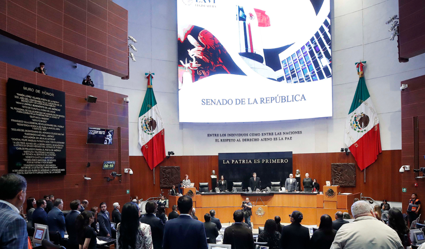 Entre críticas, el Senado aprueba un cuestionado paquete de leyes