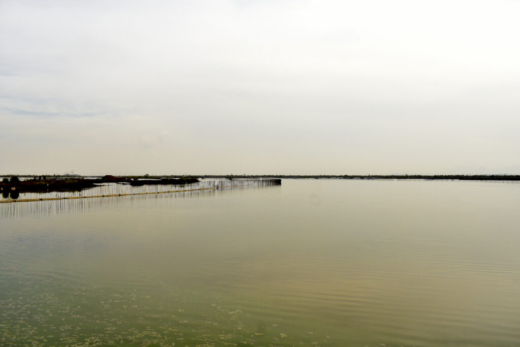 Texcoco: el regreso de un lago