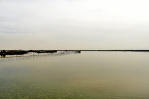 Lago de Texcoco