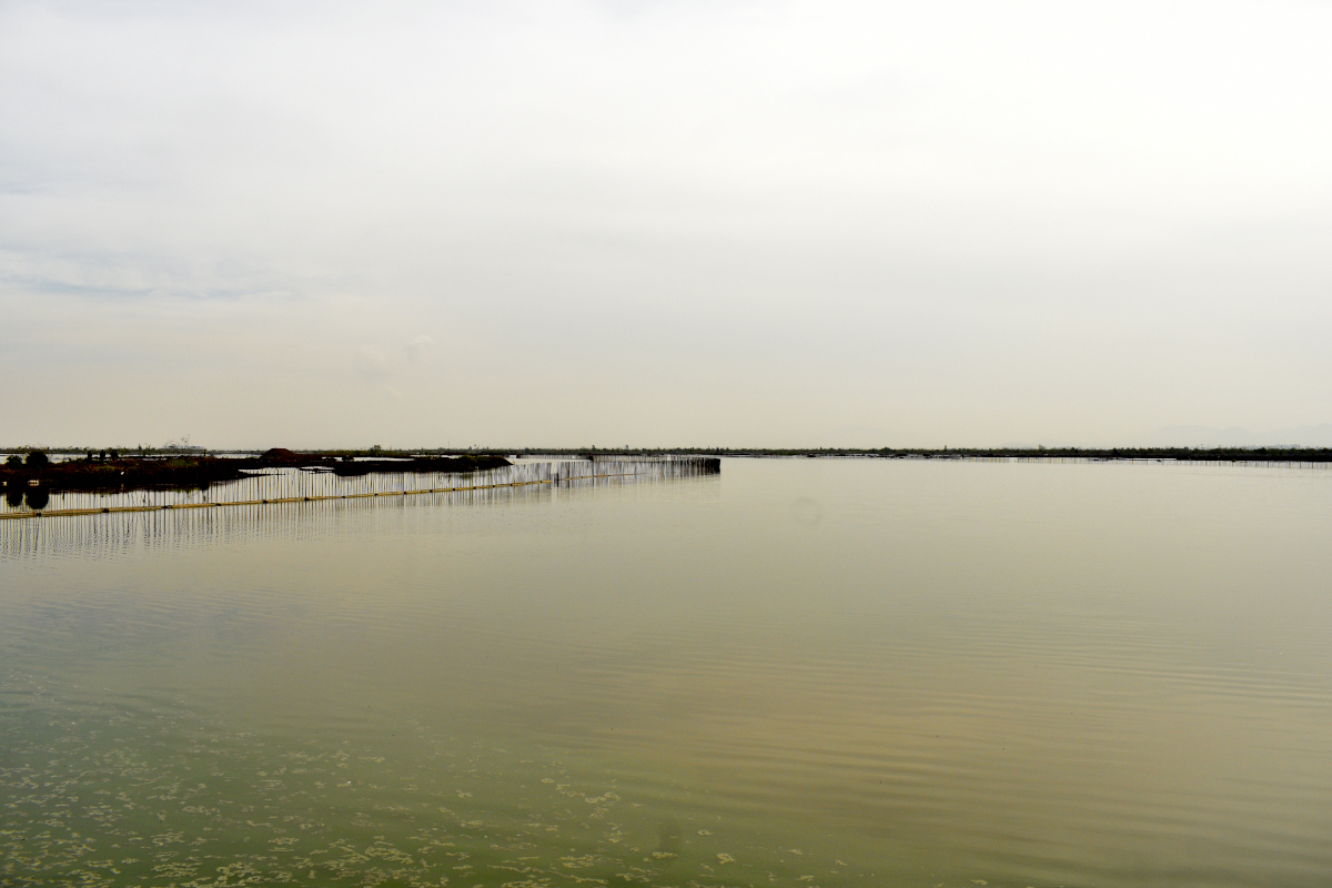 Texcoco: el regreso de un lago