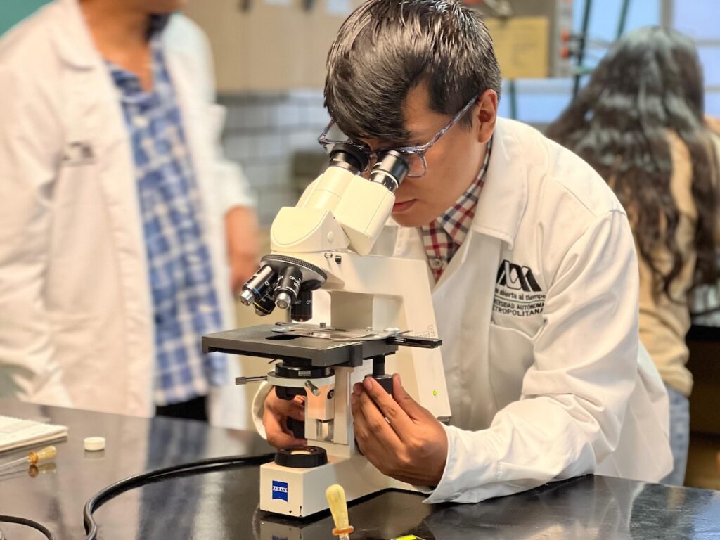 Resultados UAM 2025 segunda vuelta: dónde consúltalos 