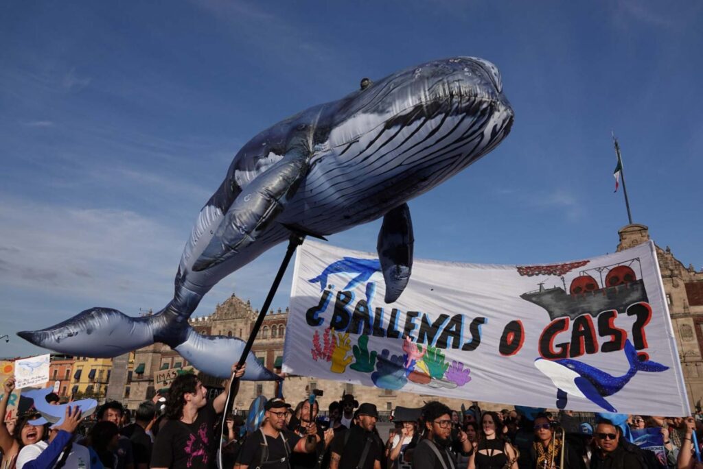 Acción y resistencia colectivas, la esperanza ante la crisis climática