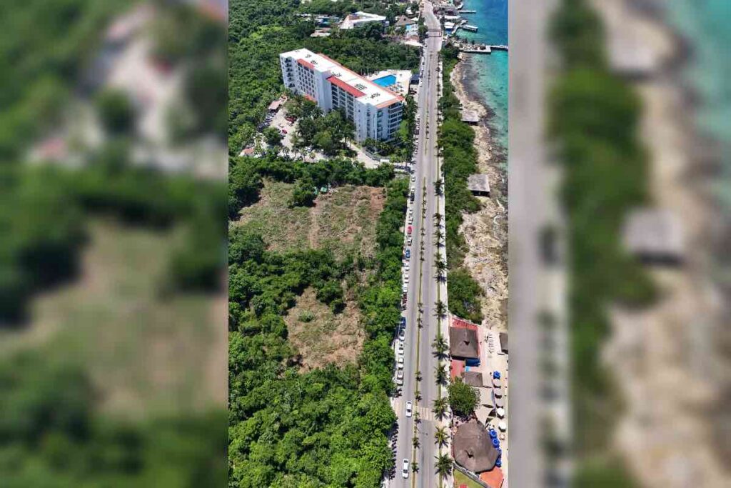 Cozumel: empresa desmonta selva virgen con permiso en vilo