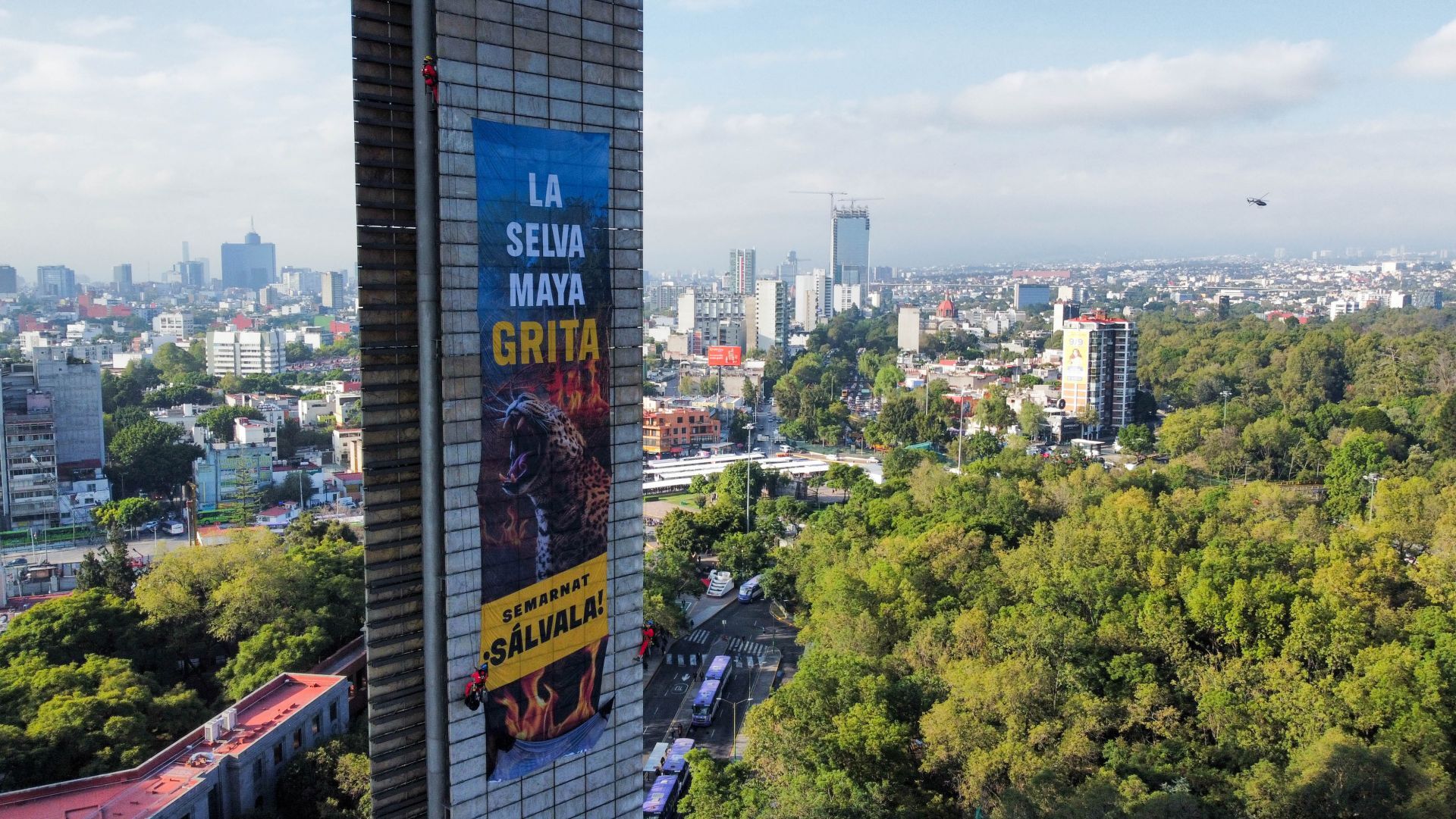 La ofensiva de Yazmín Esquivel<br> contra el “interés legítimo”
