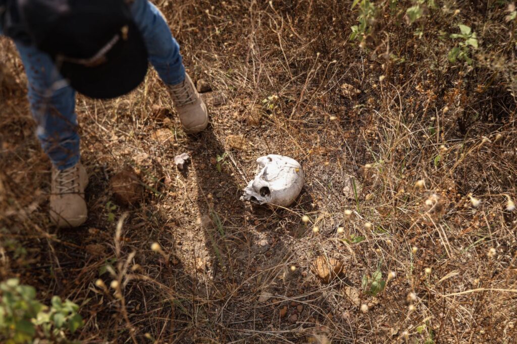 Presupuesto para desaparecidos en México: menos del 0.1% Presupuesto para desaparecidos en México: menos del 0.1%