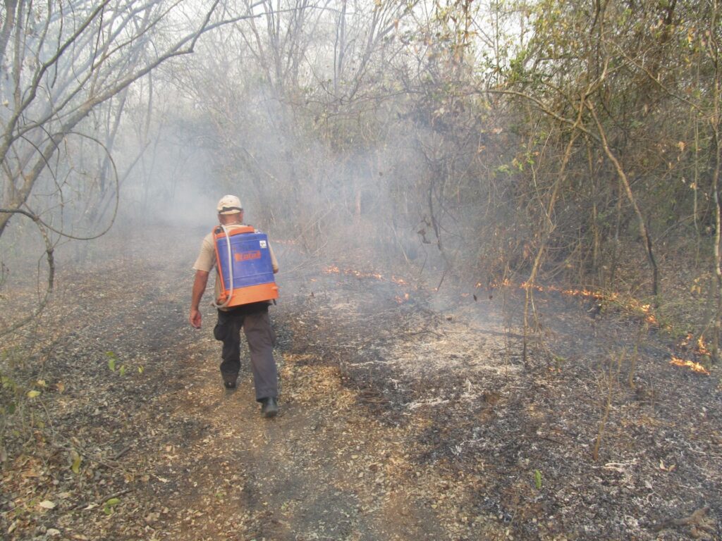 Los incendios en San Luis Potosí afectan ya 17 mil hectáreas Los incendios en San Luis Potosí afectan ya 17 mil hectáreas