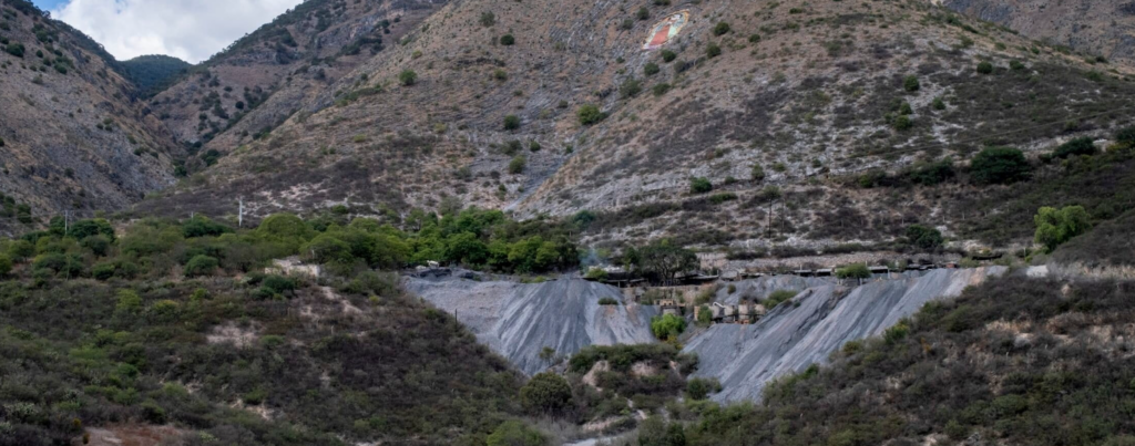 Minería, tala, aguacate y narcolaboratorios