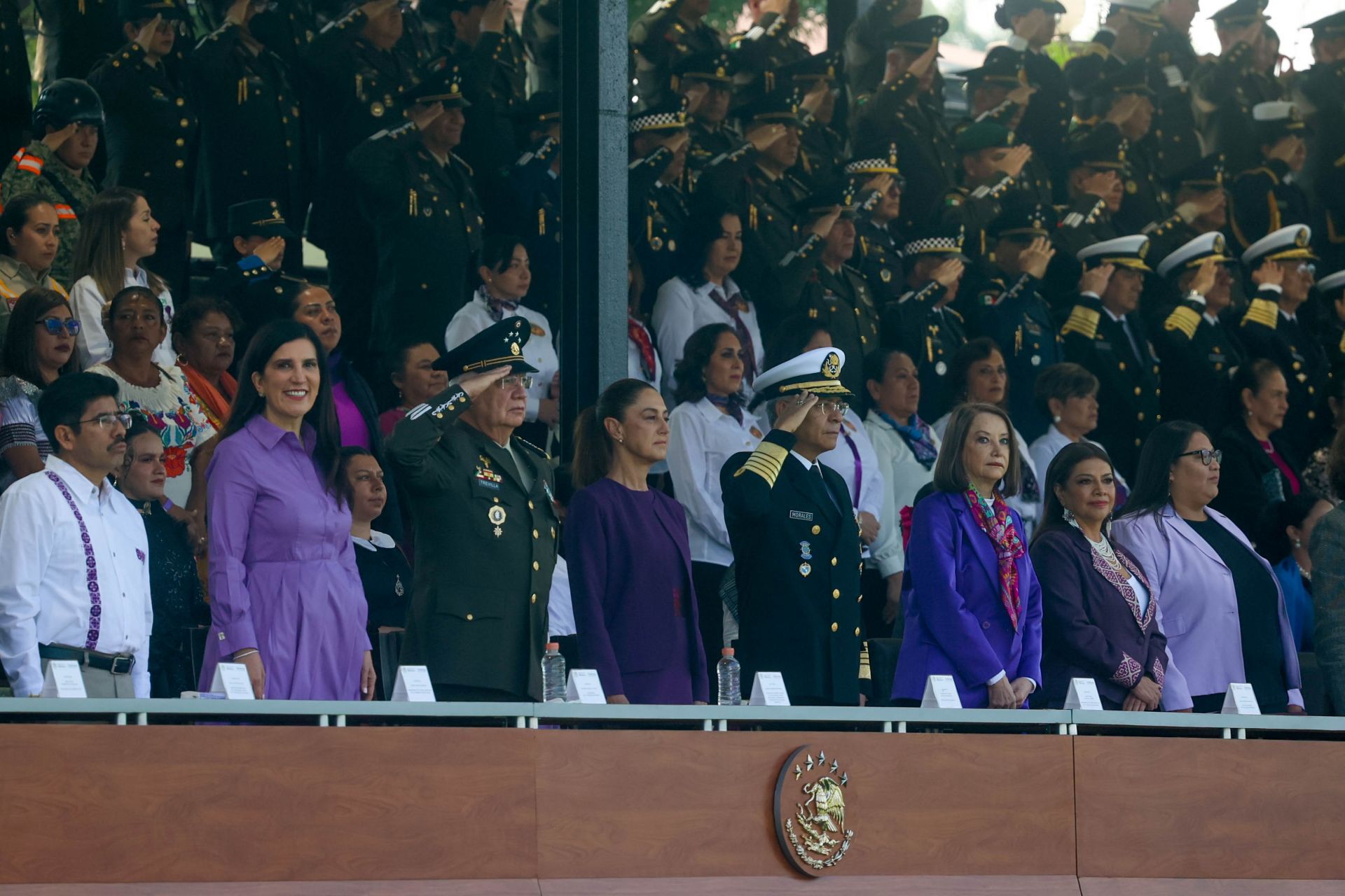 Una presidenta<br>cubierta de pilares verde olivo Una presidenta<br>cubierta de pilares verde olivo