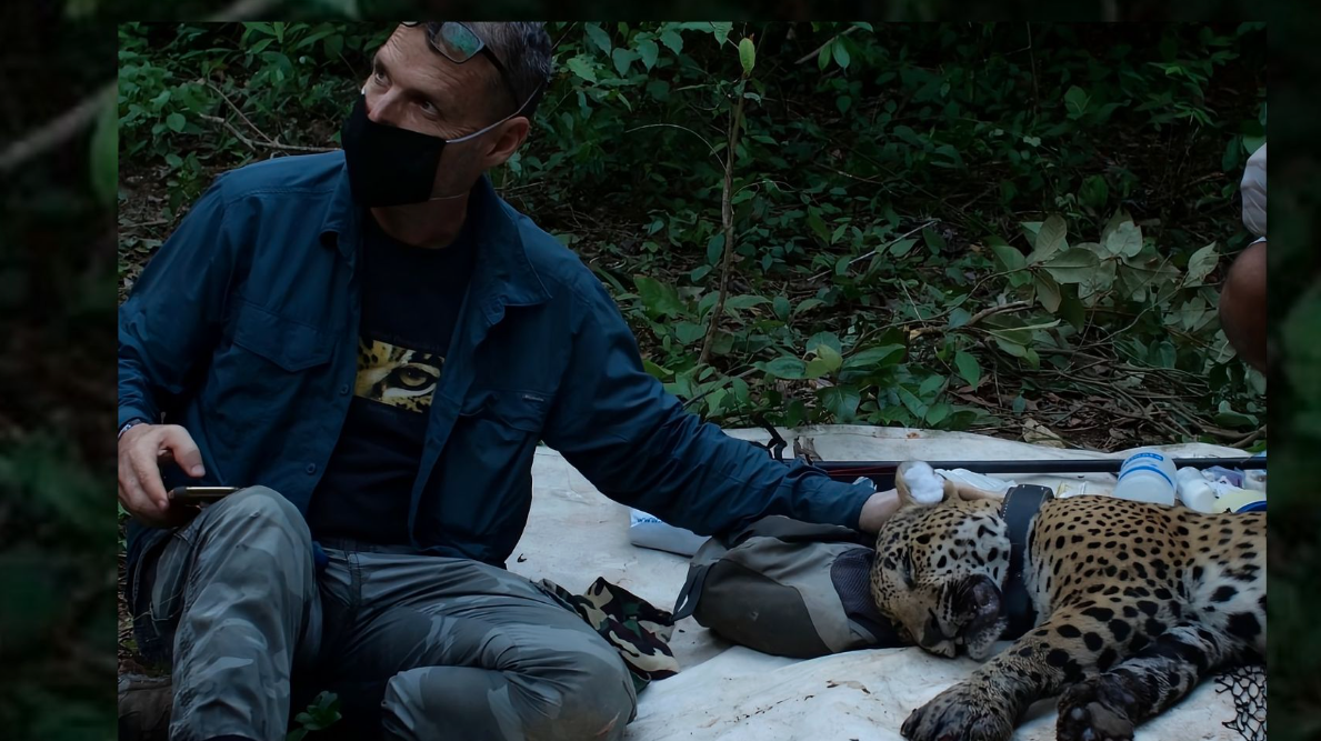 Del jaguar a las playas y humedales: los logros ambientales de Erik Saracho, defensor atacado en México Del jaguar a las playas y humedales: los logros ambientales de Erik Saracho, defensor atacado en México