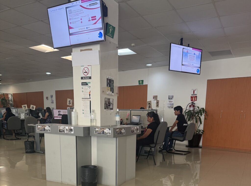 SAT cancela permisos a 270 ONGs por no acreditar ‘carácter científico’