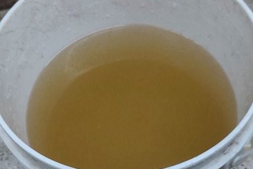 Agua contaminada en Jalisco: destituyen al director del SIAPA