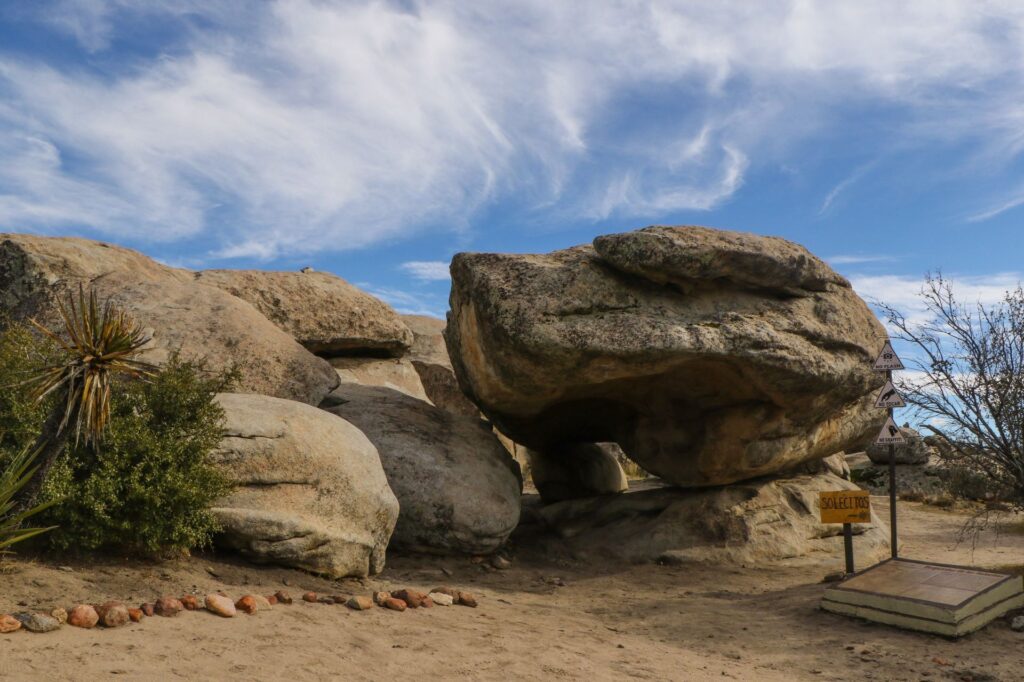Continúan daños por muro fronterizo de EU en el cerro Cuchumá; casi 400 especies peligran Continúan daños por muro fronterizo de EU en el cerro Cuchumá; casi 400 especies peligran