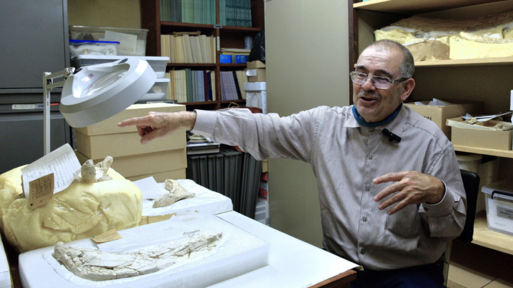 “Se han restringido investigaciones que podrían permitirnos conocer más de algunos grupos de murciélagos”