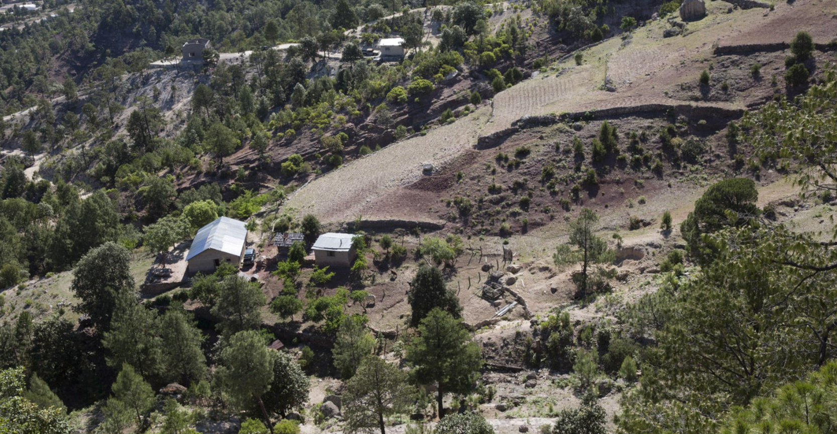 Éxodo silencioso: urgen atender el desplazamiento forzado en la Sierra Tarahumara Éxodo silencioso: urgen atender el desplazamiento forzado en la Sierra Tarahumara