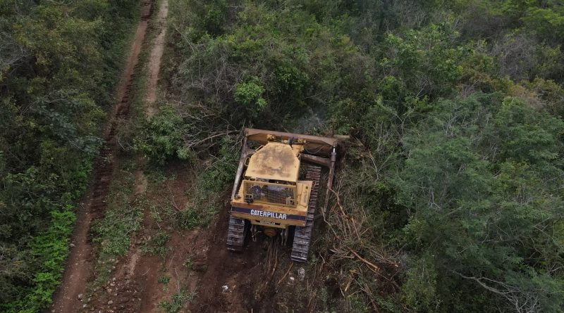 Vinculan a proceso a dos empleados de una constructora por desmonte de la Reserva de Cuxtal