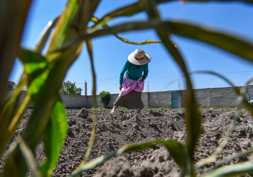 Concubinas adquieren derecho preferencial sobre tierras ejidales