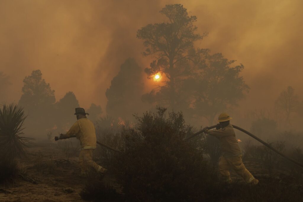 Emergencia forestal: 51 incendios activos en México; se triplicaron en un mes