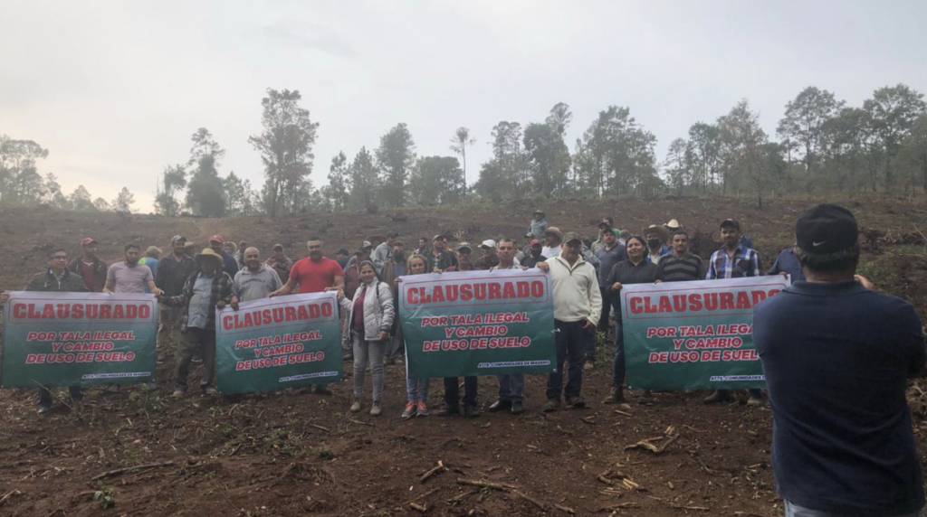 La expansión del aguacate y el crimen organizado rodean los asesinatos de dos defensores ambientales de Michoacán