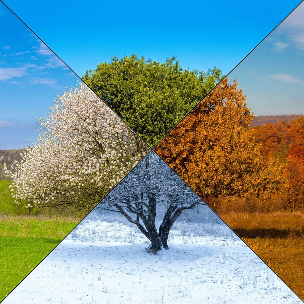 Veranos interminables e inviernos menguantes: ¿cómo definimos ahora las estaciones?