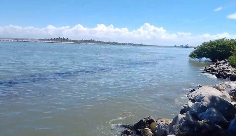 Pemex niega derrame de hidrocarburo en el río Pánuco Pemex niega derrame de hidrocarburo en el río Pánuco