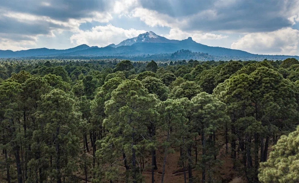 El gobierno de Tlaxcala y la Semarnat firman acuerdos para proteger el Parque Nacional La Malinche