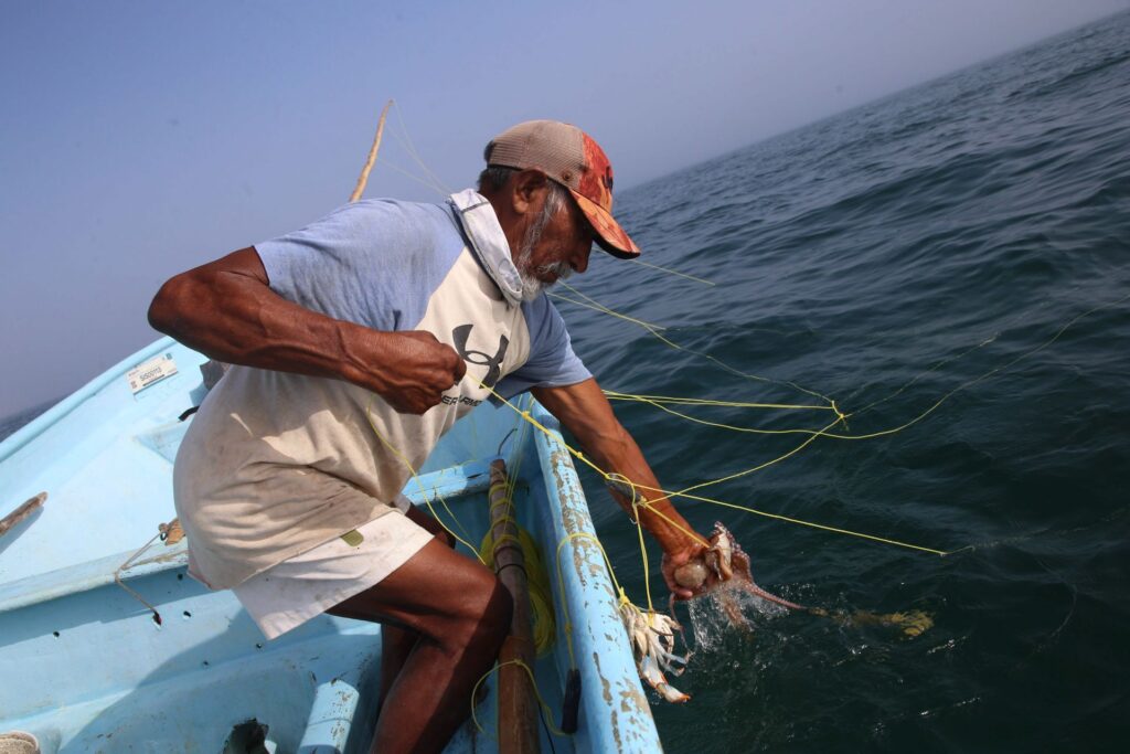 La SCJN ordena emitir reglamento de Ley de Pesca tras 18 años de incumplimiento