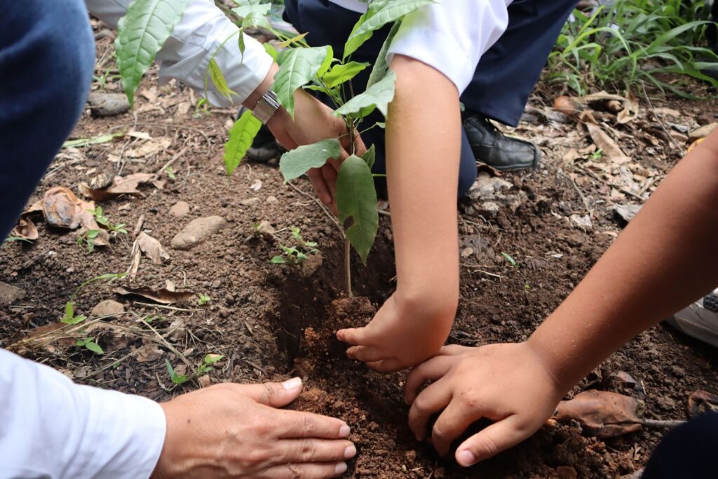 Preparan la primera COP infantil de Ecoesperanza en México Preparan la primera COP infantil de Ecoesperanza en México
