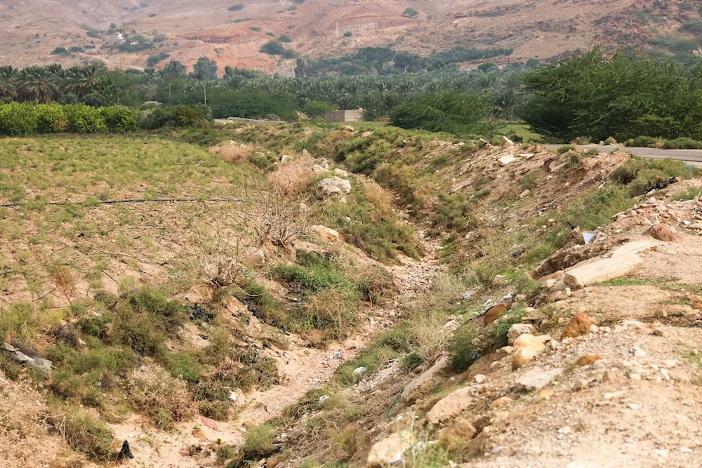 Israelíes promueven turismo en tierras robadas de Palestina